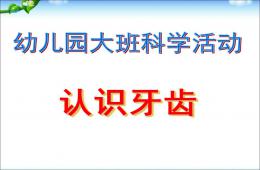 大班科学认识牙齿PPT课件