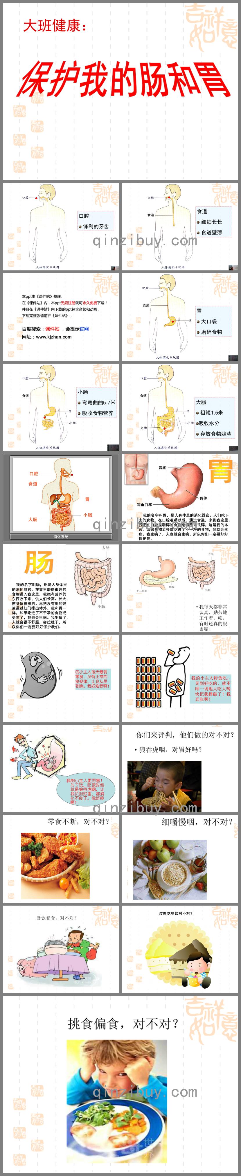 大班健康保护我的肠胃PPT课件