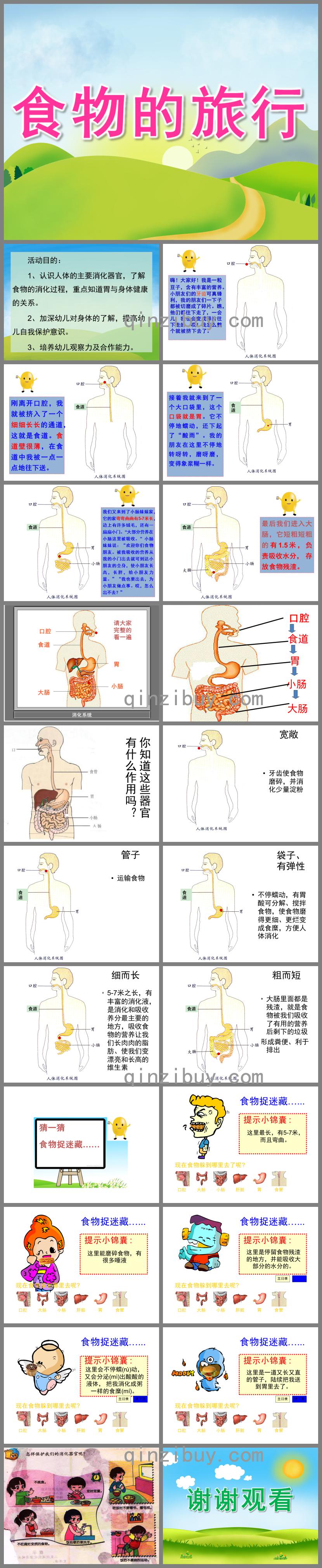 大班科学食物的旅行PPT课件