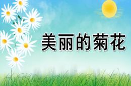 幼儿园科学美丽的菊花PPT课件