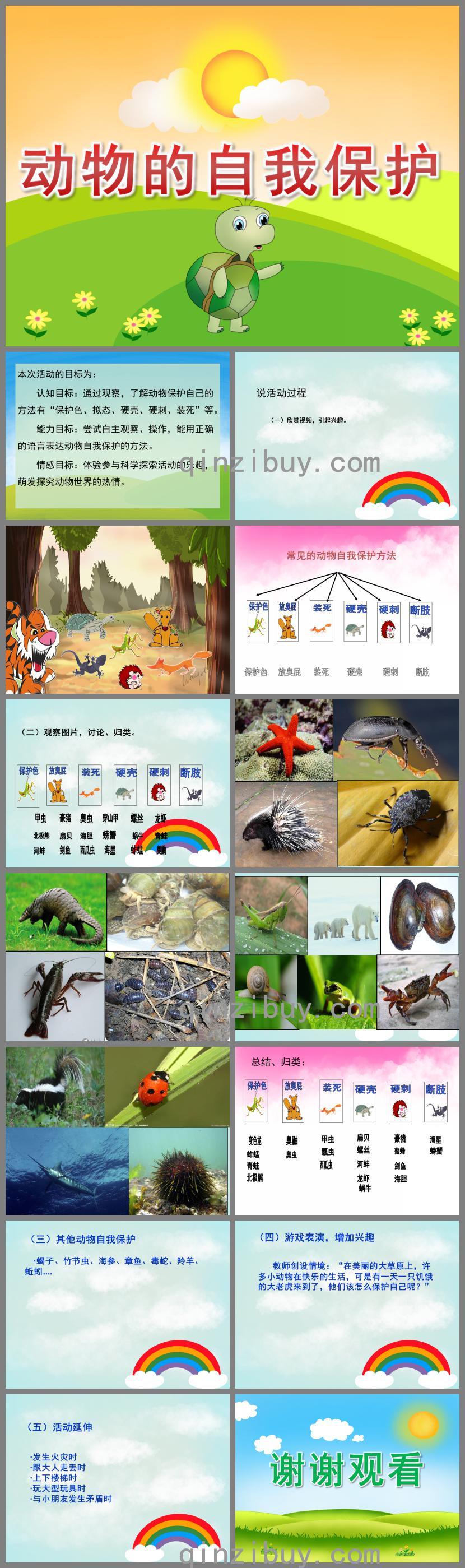 大班科学活动动物的自我保护PPT课件