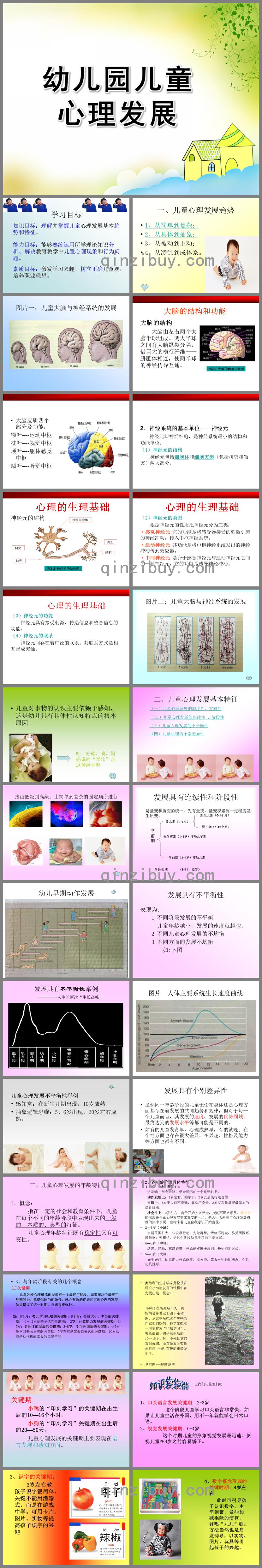 幼儿园儿童心理发展的基本理论PPT课件