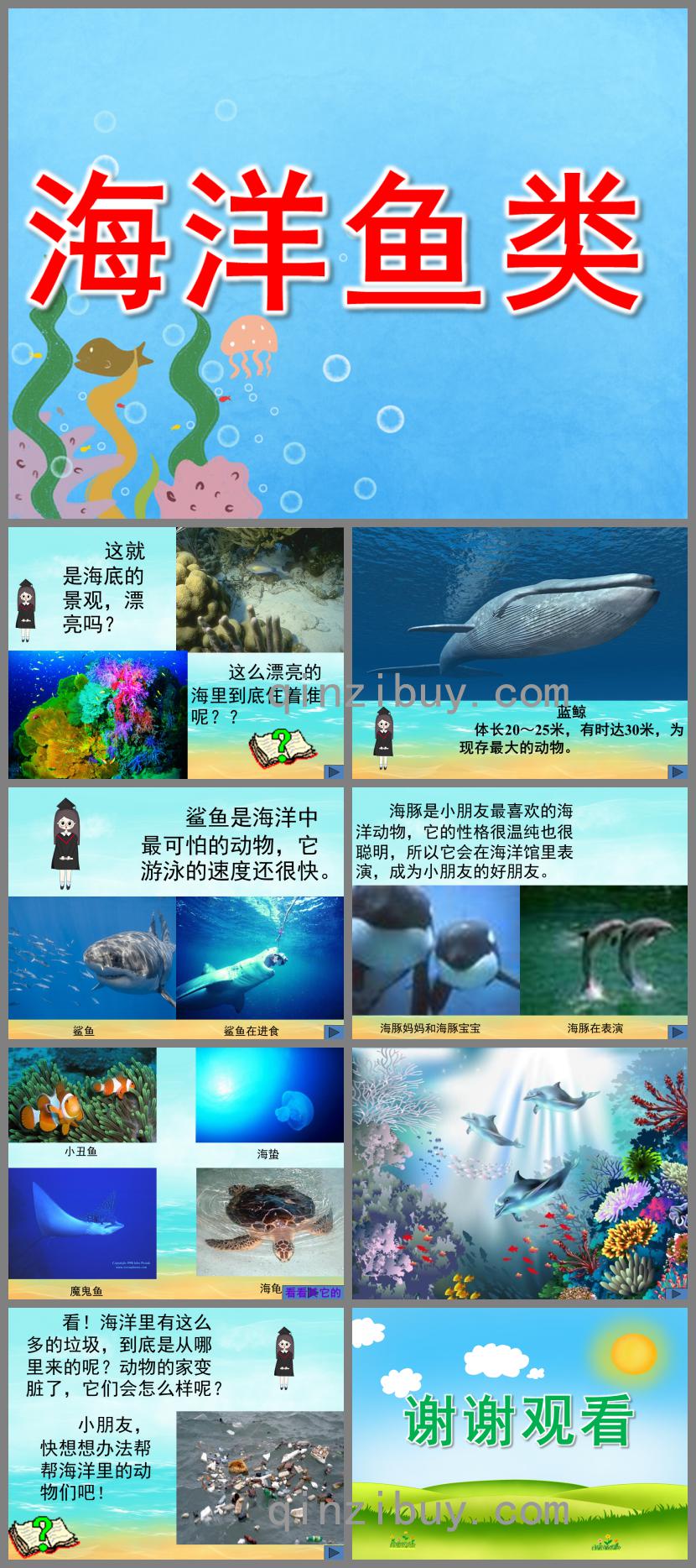 小班科学海洋鱼类PPT课件