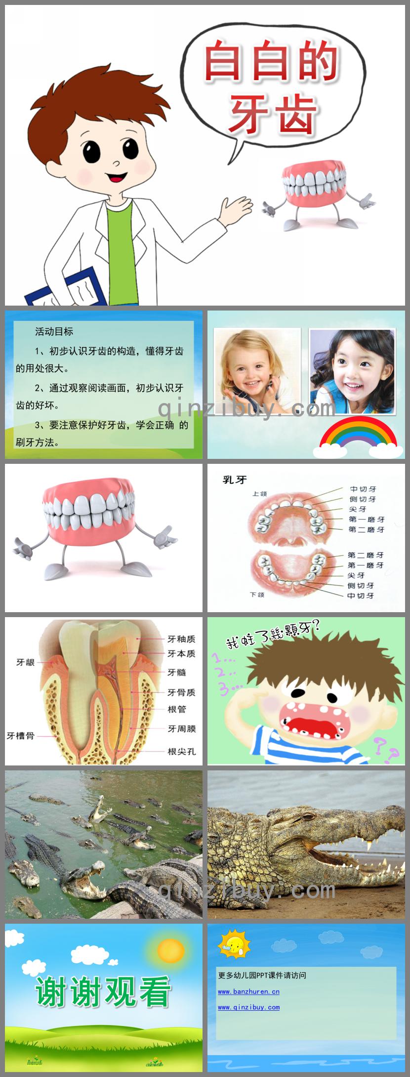 中班健康白白的牙齿PPT课件