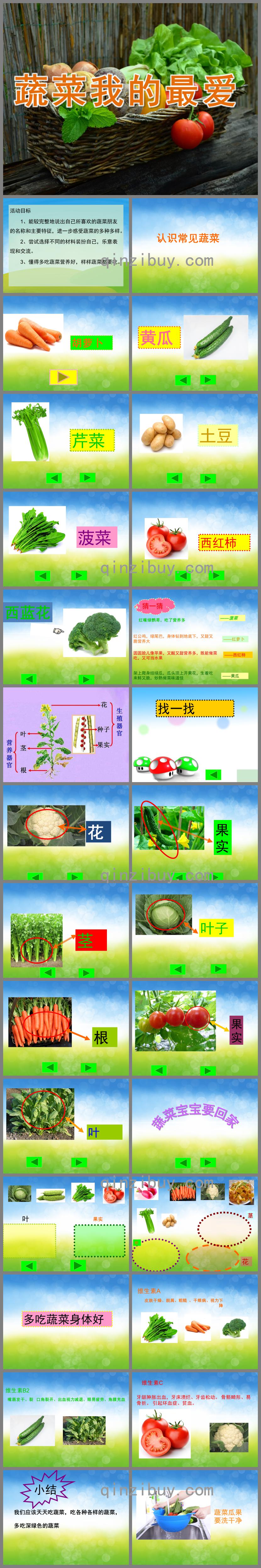 中班健康蔬菜我最爱PPT课件