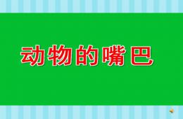 中班科学动物的嘴巴PPT课件配音