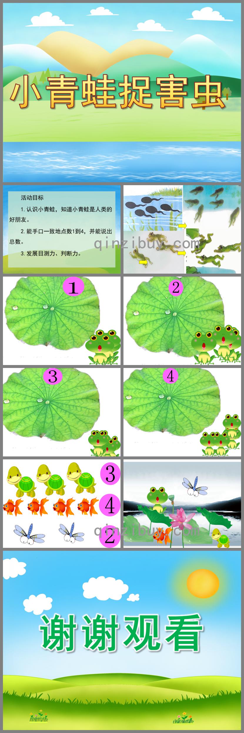 小班数学小青蛙捉害虫PPT课件