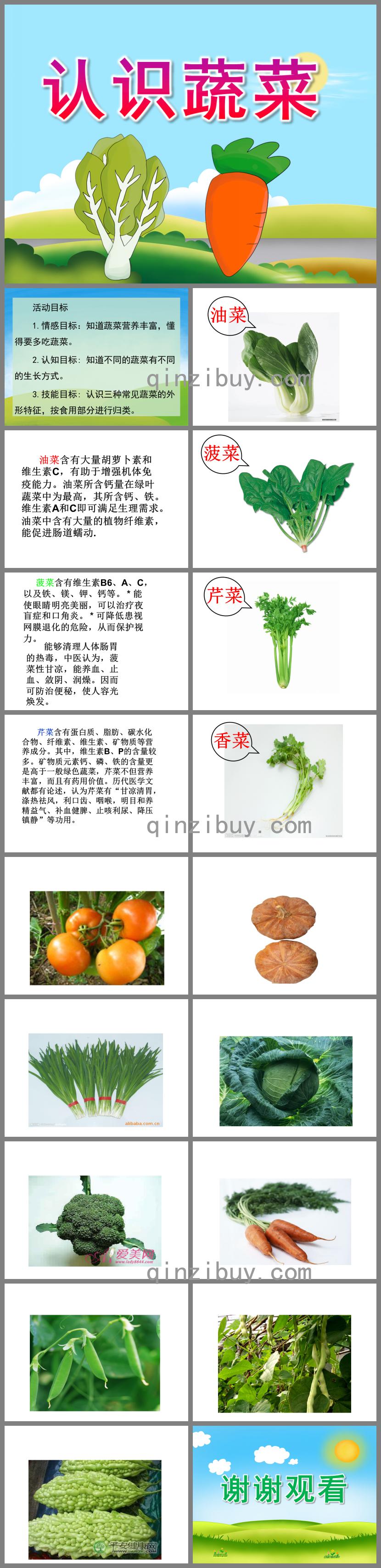 中班科学认识蔬菜PPT课件