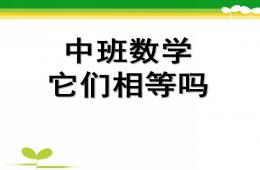 中班数学优质课它们相等吗PPT课件