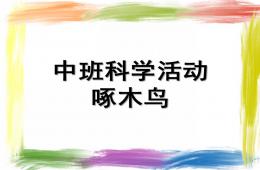 中班科学啄木鸟PPT课件