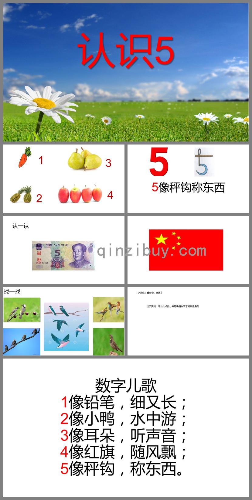 中班数学活动课认识5的PPT课件