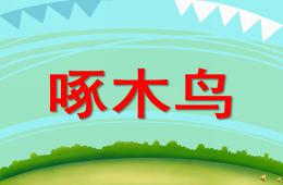 幼儿园动物儿歌啄木鸟PPT课件配音音乐