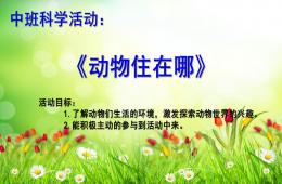 中班科学动物住在哪PPT课件