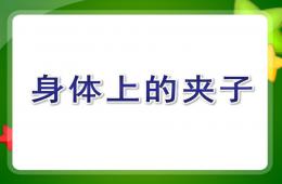 中班科学探索活动身体上的夹子PPT课件