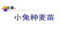 中班语言小兔种麦子PPT课件