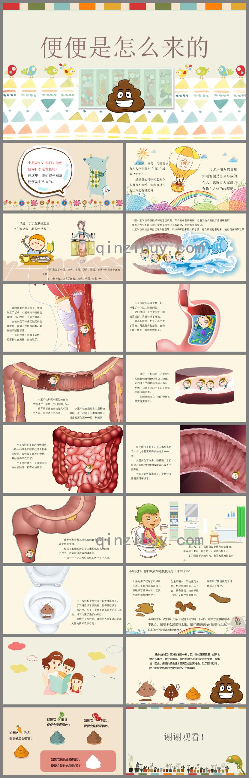 大班健康便便是怎么来的PPT课件