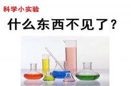 大班科学活动什么东西不见了PPT课件