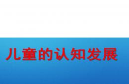 幼儿园儿童认知发展过程PPT课件