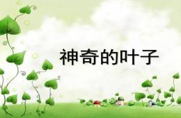 中班科学神奇的叶子PPT课件视频