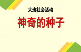 大班社会活动神奇的种子PPT课件