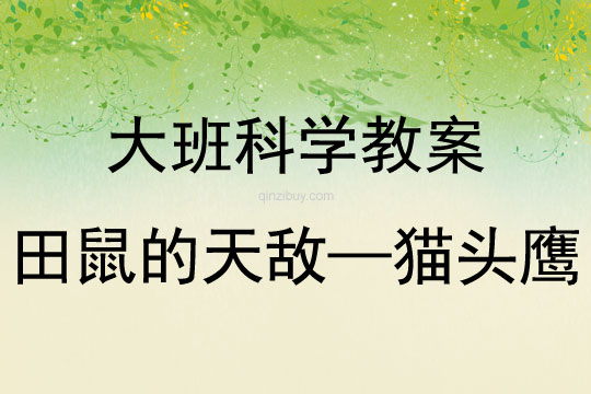 大班科学活动田鼠的天敌—猫头鹰教案反思