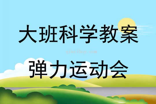 大班科学活动弹力运动会教案反思