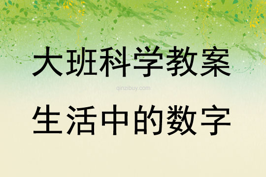 大班科学生活中的数字教案反思