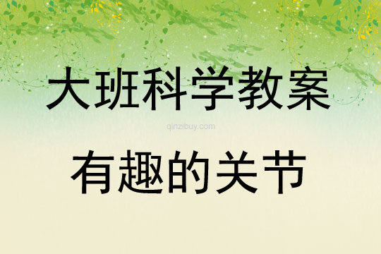 大班科学活动有趣的关节教案反思