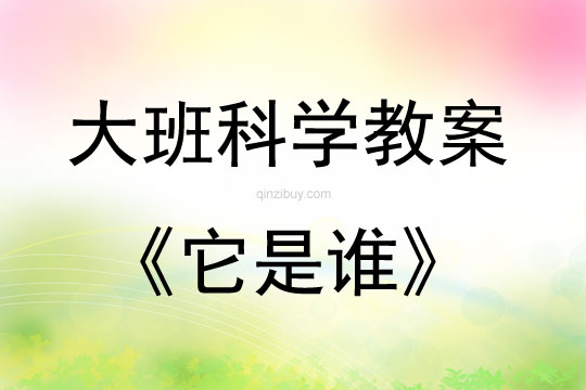 大班科学活动教案：它是谁教案(附教学反思)