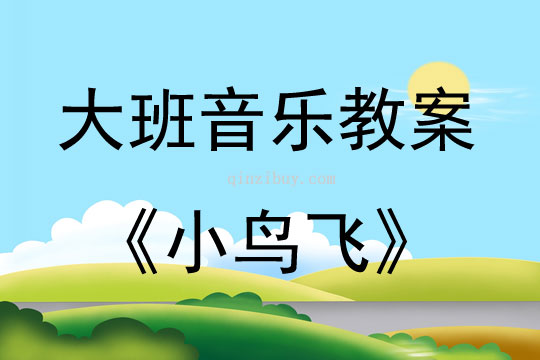 大班音乐活动小鸟飞教案反思