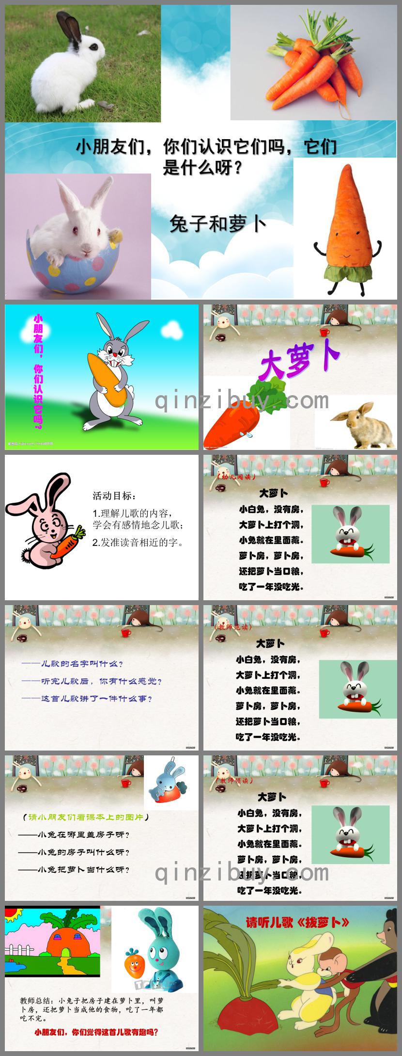 幼儿园小班下学期大萝卜PPT课件