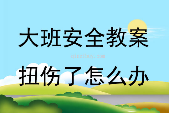 大班安全教育扭伤了怎么办教案反思