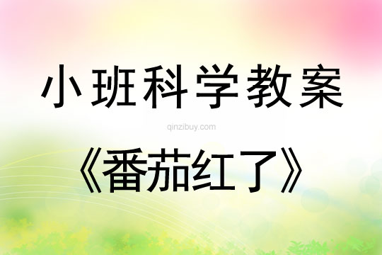 小班科学活动教案：番茄红了教案(附教学反思)