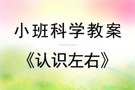 小班科学认识左右教案