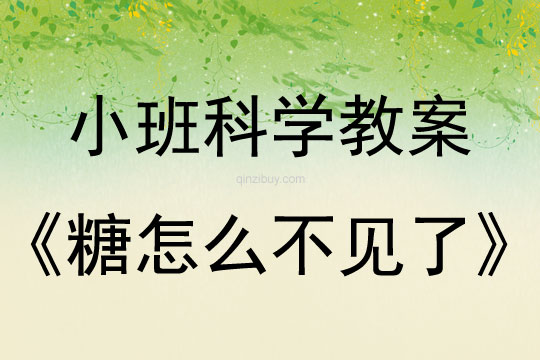 小班科学活动糖怎么不见了教案反思