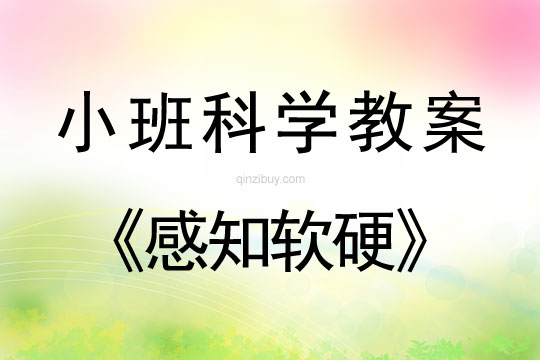 小班科学活动教案：感知软硬教案(附教学反思)