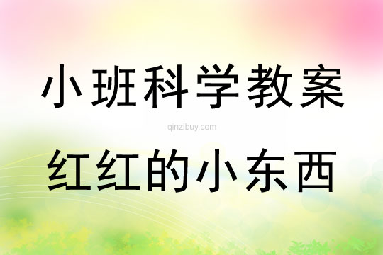 小班科学红红的小东西教案反思