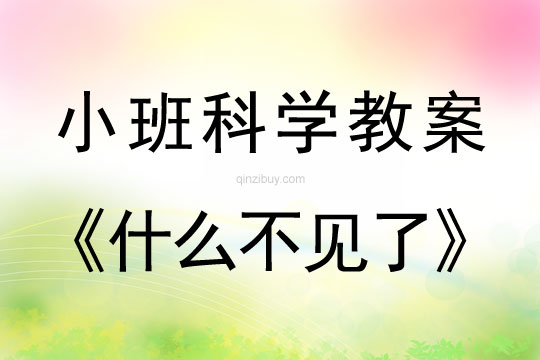 小班科学什么不见了教案反思