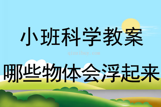 小班科学：哪些物体会浮起来小班科学教案：哪些物体会浮起来