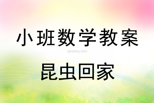 小班数学活动昆虫回家教案反思