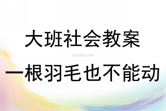 大班社会《一根羽毛也不能动》教案反思