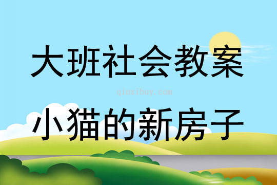 大班社会活动小猫的新房子教案反思