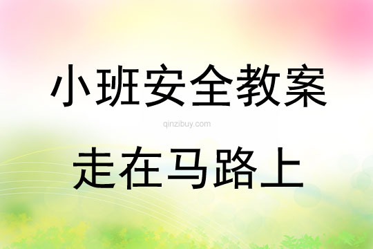 小班安全走在马路上教案