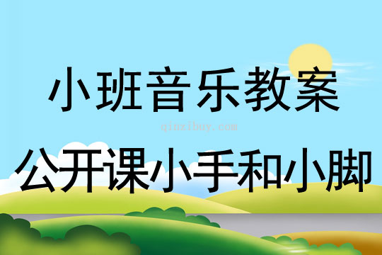 小班音乐公开课小手和小脚教案反思