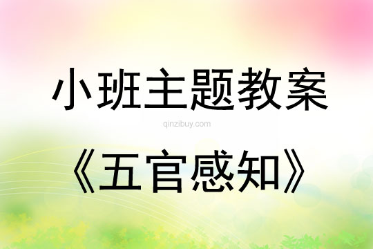 幼儿园小班主题教案：五官感知小班主题教案：五官感知