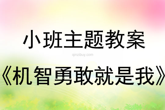 小班主题活动机智勇敢就是我教案反思