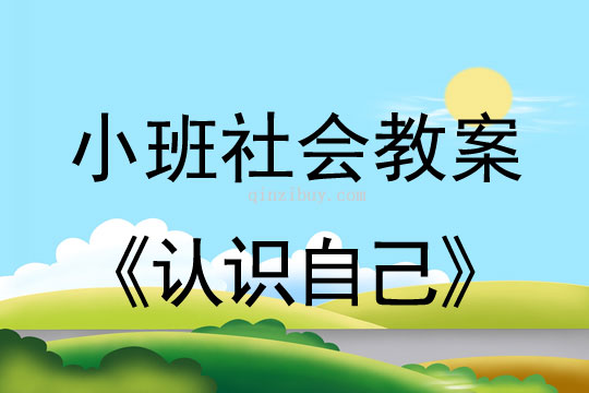 小班社会认识自己教案