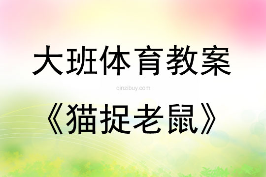 大班体育游戏活动猫捉老鼠教案反思