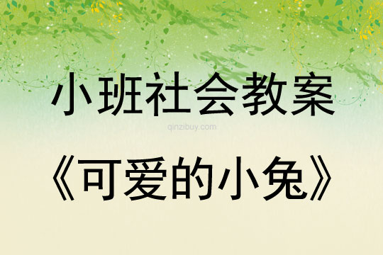 小班社会可爱的小兔教案反思