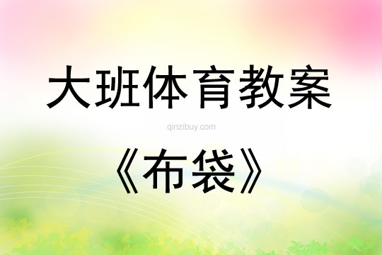 大班体育游戏布袋教案反思